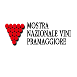 Mostra Nazionale Vini Pramaggiore 2013